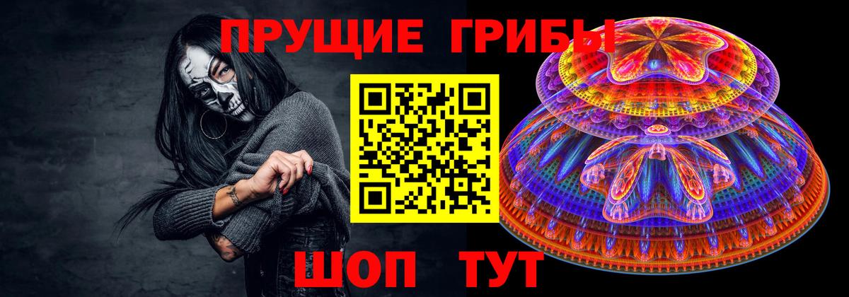 Псилоцибиновые грибы мицелий  что такое   Братск  Вход с VPN 